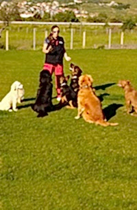 Grande Sole Dog Resort Egitim