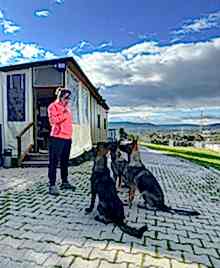 Grande Sole Dog Resort Egitim