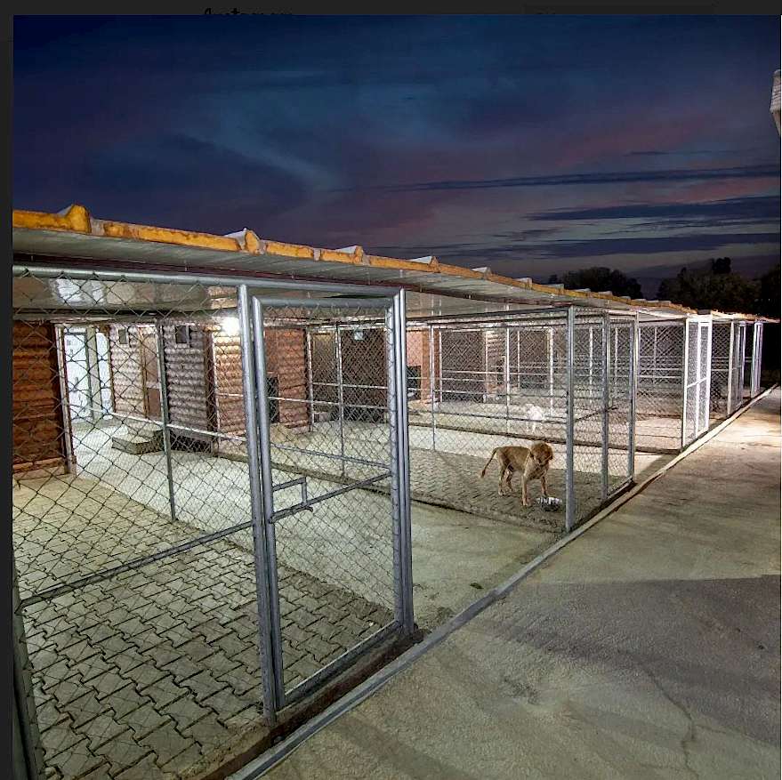 Grande Sole Dog Resort Hotel