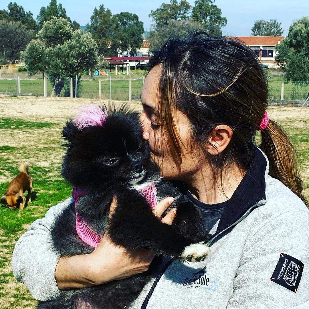 Grande Sole Dog Resort Resim