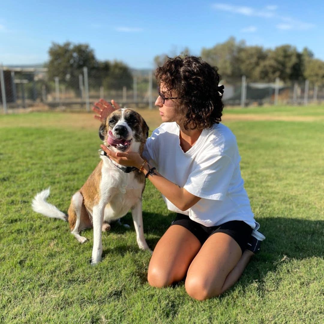 Grande Sole Dog Resort Resim