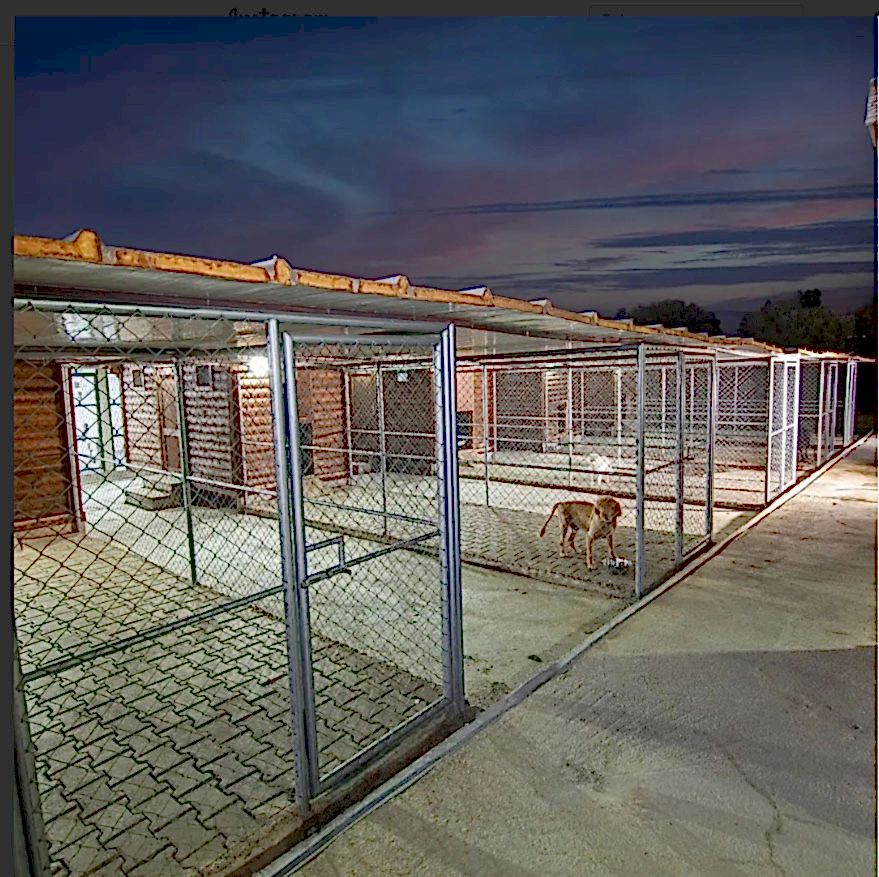 Grande Sole Dog Resort Resim